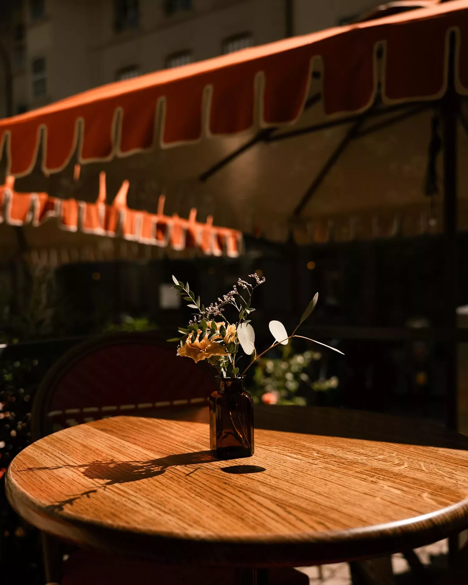 maison-terrasse-bern2