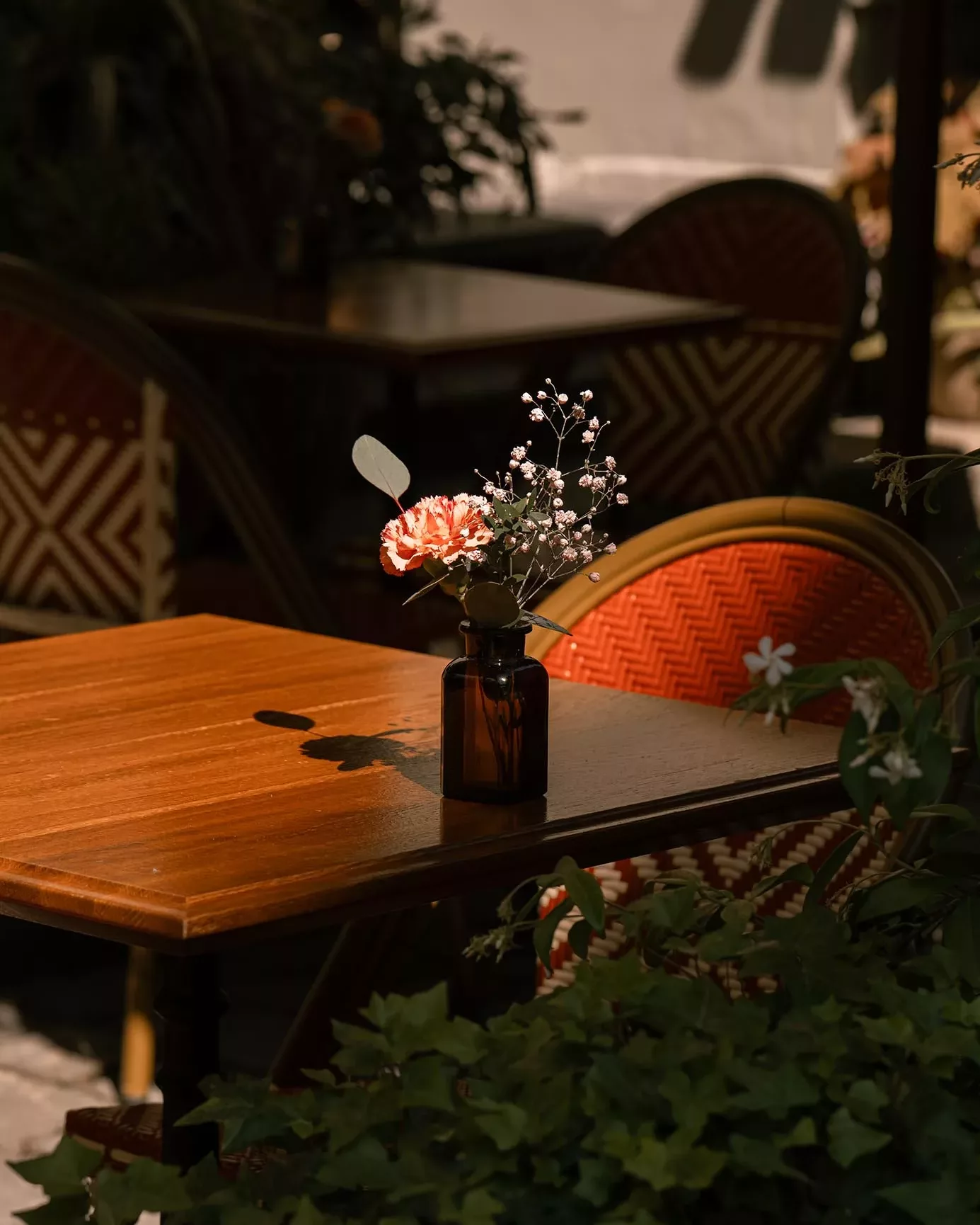 maison-terrasse-bern4