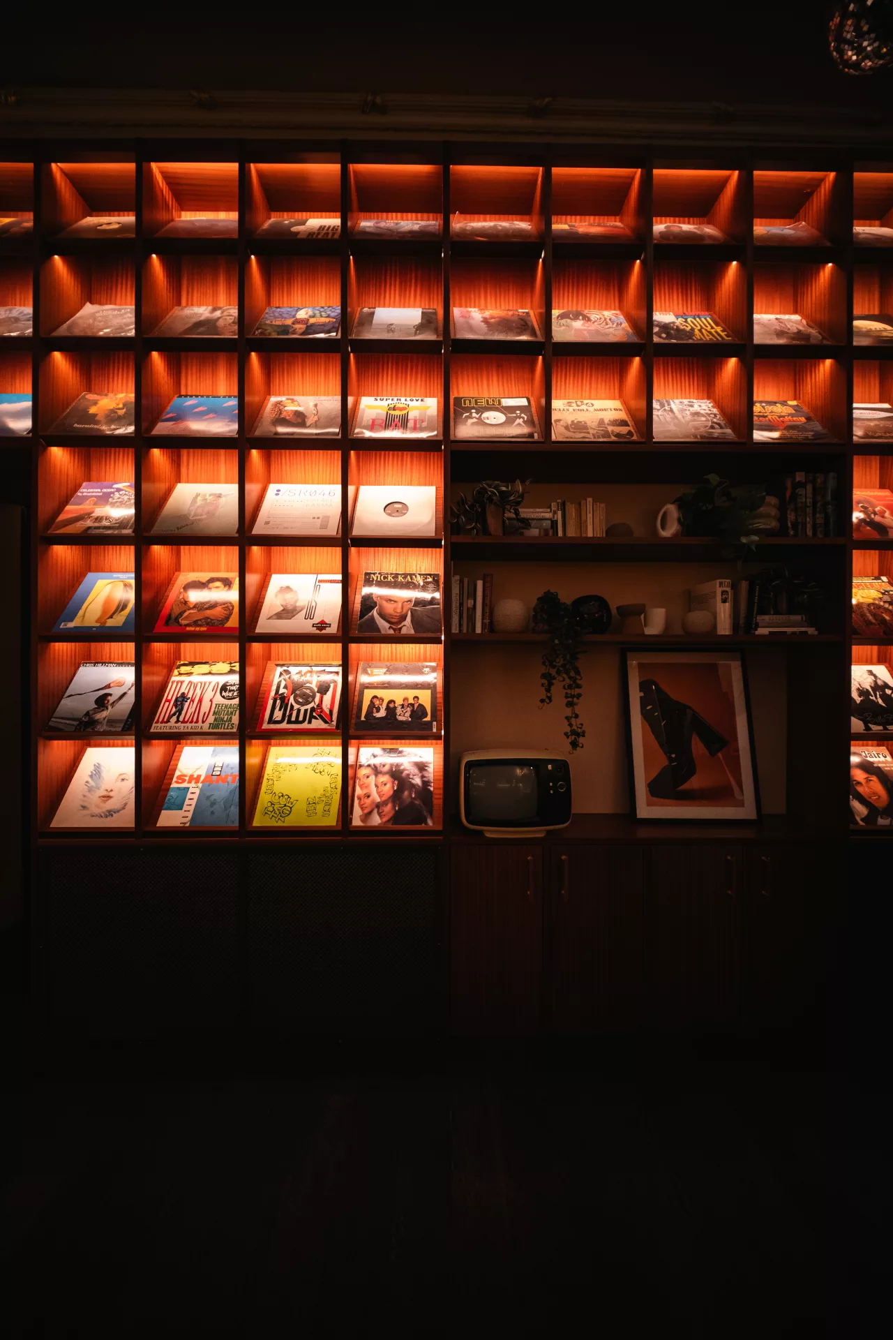 MAISON VINYL